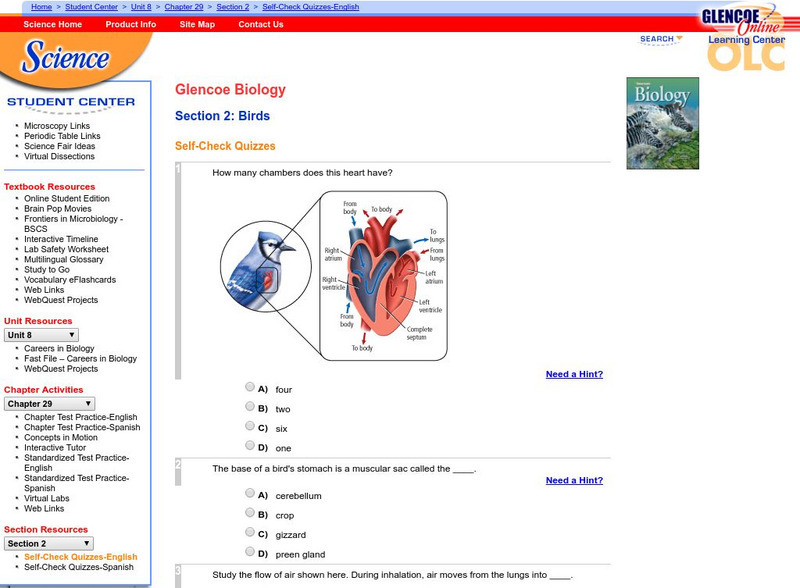 Glencoe Biology: Birds: Self Check Quiz Unknown Type