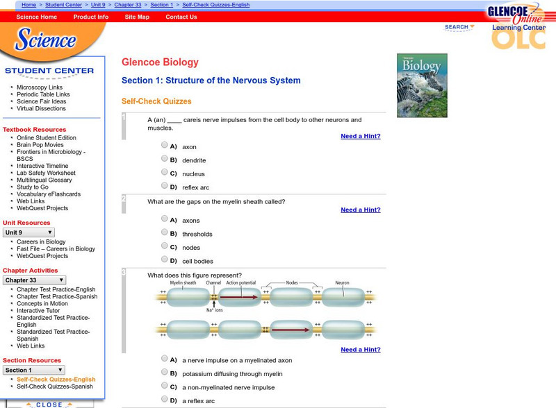 Glencoe Biology: Structure of the Nervous System: Self Check Quiz Unknown Type Glencoe Biology: Structure of the Nervous System: Self Check Quiz Unknown Type