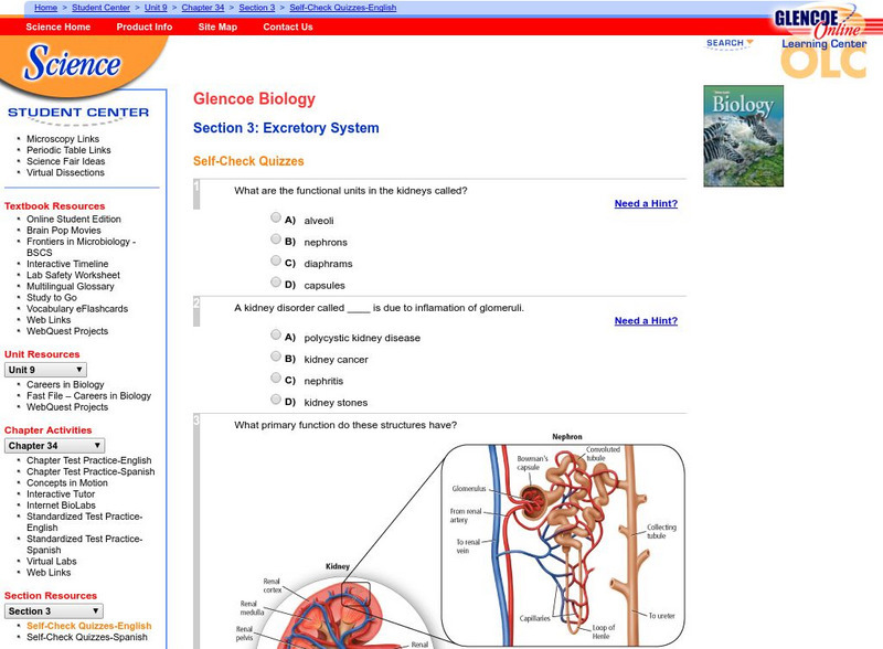 Glencoe Biology: Excretory System: Self Check Quiz Unknown Type Glencoe Biology: Excretory System: Self Check Quiz Unknown Type