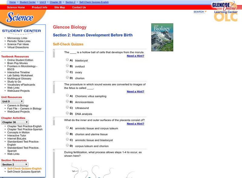 Glencoe Biology: Human Development Before Birth: Self Check Quiz Unknown Type Glencoe Biology: Human Development Before Birth: Self Check Quiz Unknown Type
