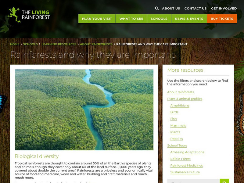 Living Rain Forest: The Rain Forest Handout Living Rain Forest: The Rain Forest Handout