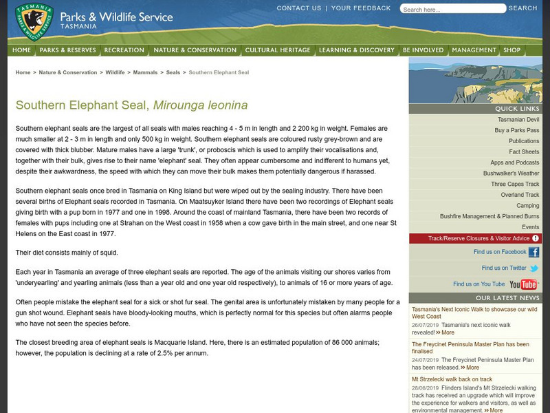 Tasmania Online: Parks & Wildlife Service: Southern Elephant Seal Handout Tasmania Online: Parks & Wildlife Service: Southern Elephant Seal Handout