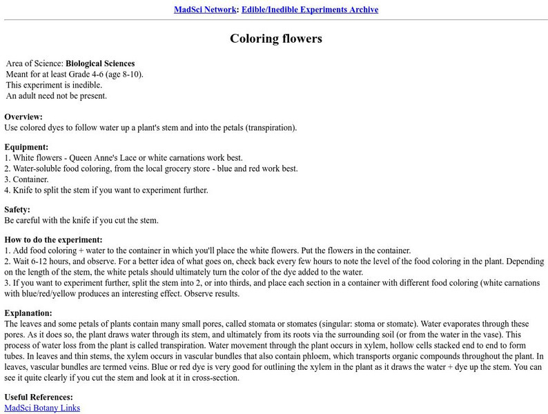 Coloring Flowers Activity Coloring Flowers Activity