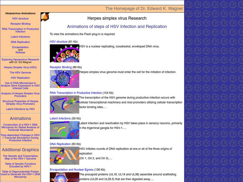Animations of Hsv Infection and Replication Unit Plan Animations of Hsv Infection and Replication Unit Plan