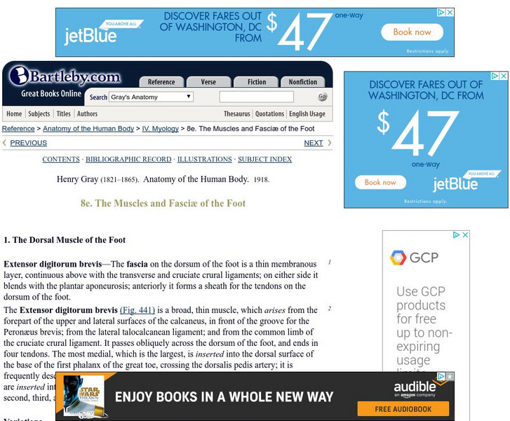 Bartleby.com: The Muscles and Fascie of the Foot Handout Bartleby.com: The Muscles and Fascie of the Foot Handout
