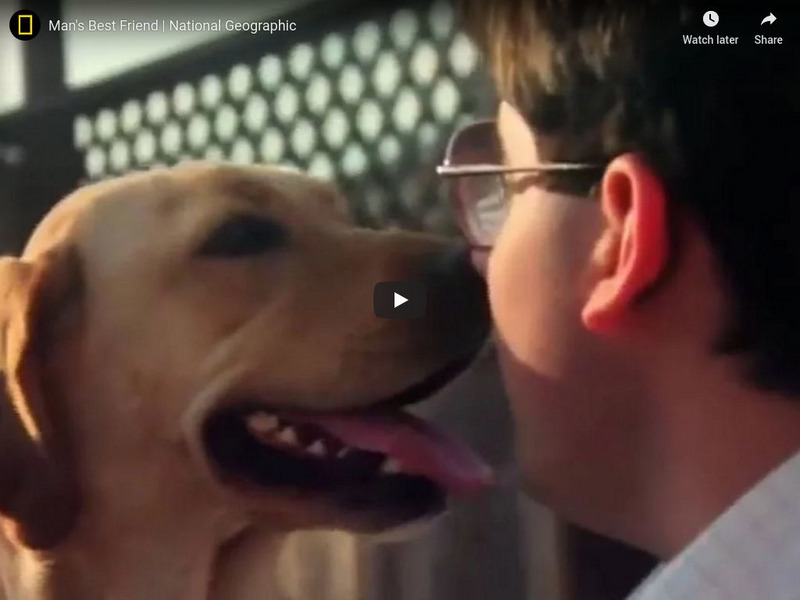 National Geographic: Man's Best Friend Instructional Video National Geographic: Man's Best Friend Instructional Video