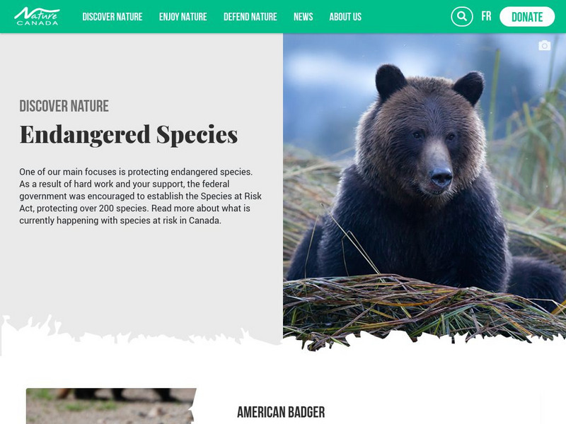 Threatened and Endangered Species Website Threatened and Endangered Species Website