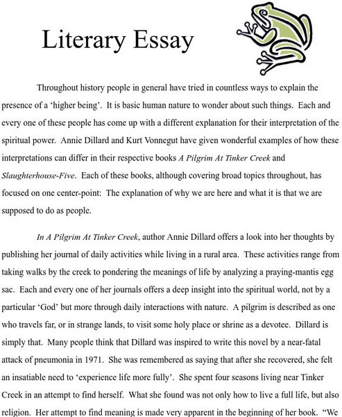 Clemson University: Literary Essay Website Clemson University: Literary Essay Website