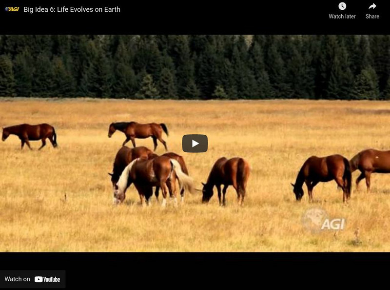 American Geosciences Institute: Big Idea 6: Life Evolves on Earth Instructional Video American Geosciences Institute: Big Idea 6: Life Evolves on Earth Instructional Video