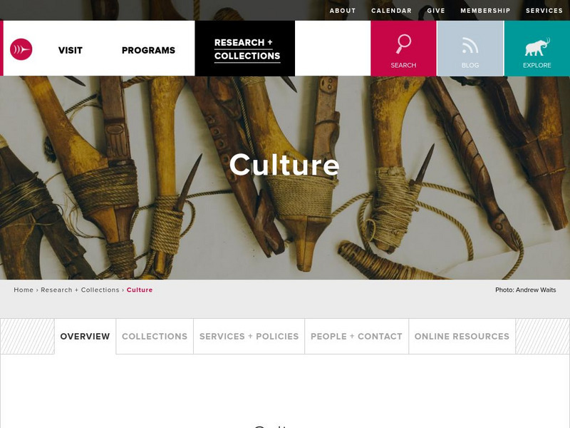 Burke Museum: Archaeology Collections Handout Burke Museum: Archaeology Collections Handout