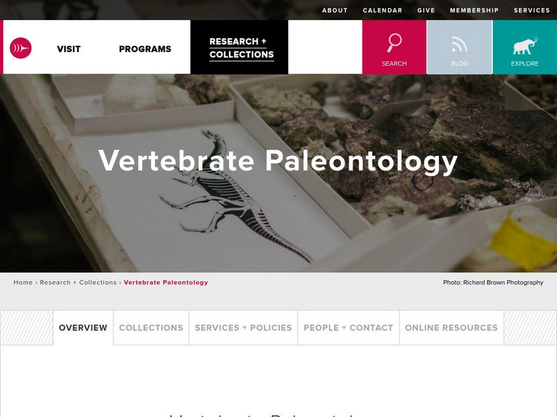Burke Museum: Paleontology Collection Website Burke Museum: Paleontology Collection Website