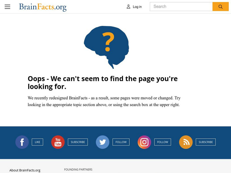 Society for Neuroscience: Brain Facts [Pdf] Activity