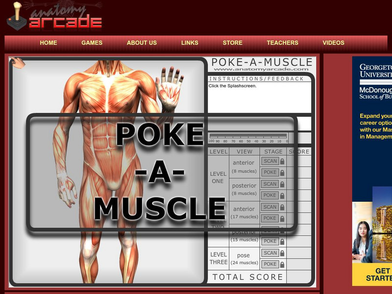 Anatomy Arcade: Poke a Muscle Interactive Anatomy Arcade: Poke a Muscle Interactive