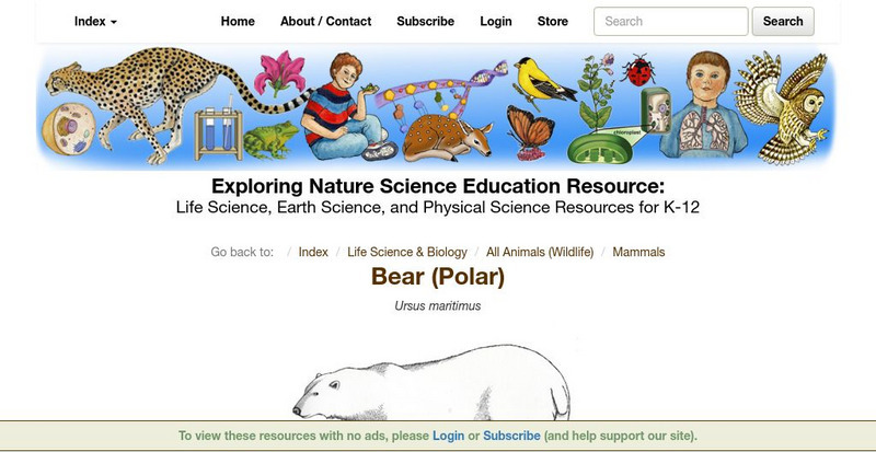Exploring Nature Educational Resource: Bear (Polar) Handout