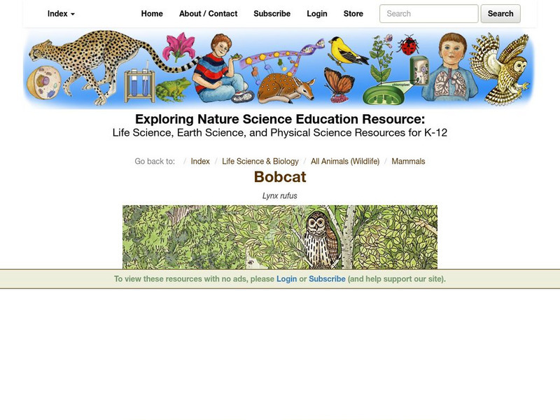 Exploring Nature Educational Resource: Bobcat Handout