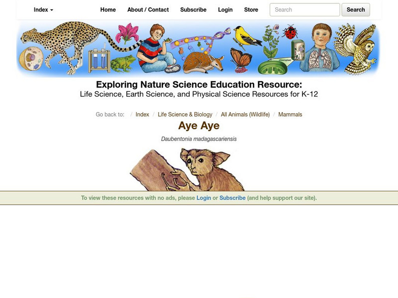 Exploring Nature Educational Resource: Aye Aye Handout Exploring Nature Educational Resource: Aye Aye Handout