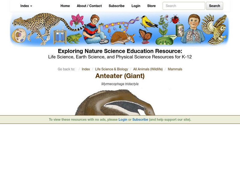 Exploring Nature Educational Resource: Anteater (Giant) Handout Exploring Nature Educational Resource: Anteater (Giant) Handout