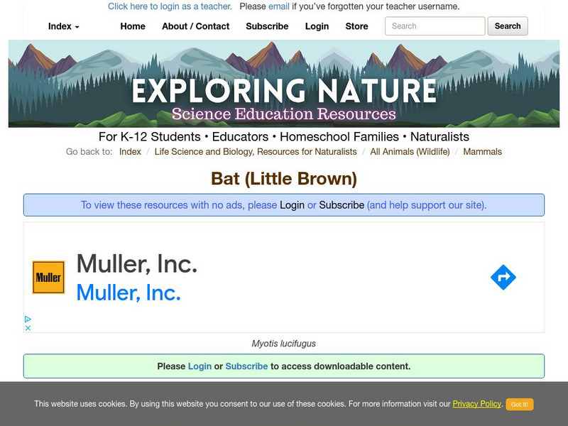 Exploring Nature Educational Resource: Bat (Little Brown) Handout Exploring Nature Educational Resource: Bat (Little Brown) Handout