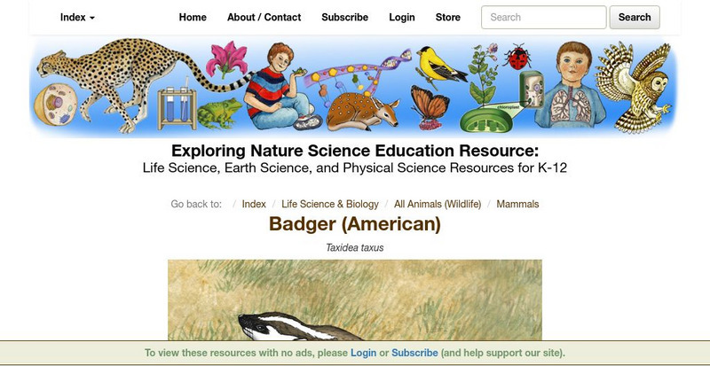 Exploring Nature Educational Resource: Badger (American) Handout Exploring Nature Educational Resource: Badger (American) Handout