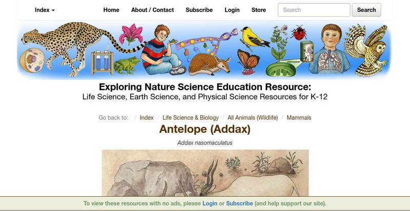 Exploring Nature Educational Resource: Antelope (Addax) Handout Exploring Nature Educational Resource: Antelope (Addax) Handout