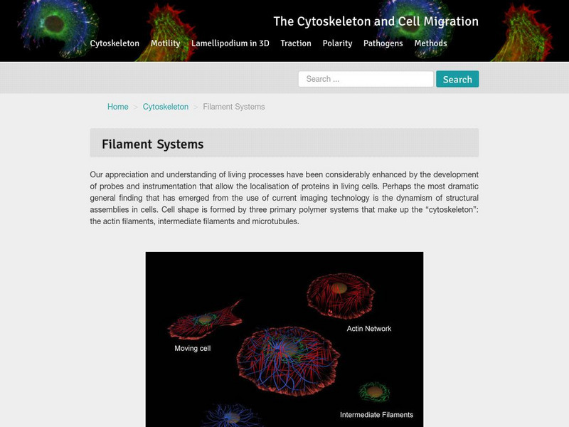 Nexperion: Filament Systems Graphic