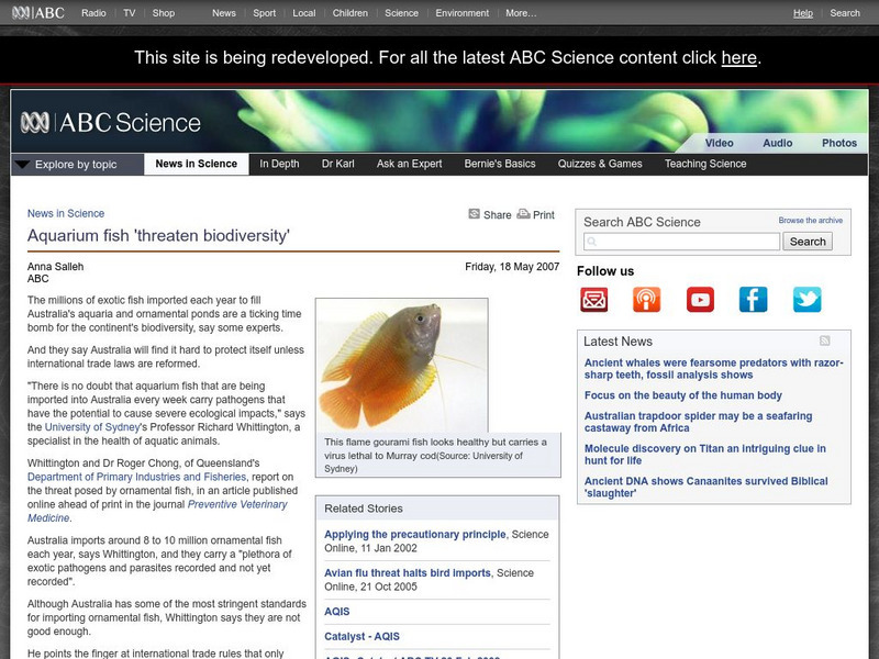Australian Broadcasting Corporation: News in Science: Aquarium Fish 'Threaten Biodiversity' Article Australian Broadcasting Corporation: News in Science: Aquarium Fish 'Threaten Biodiversity' Article