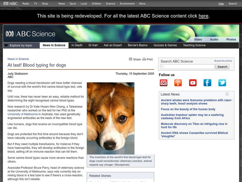 Australian Broadcasting Corporation: News in Science: At Last! Blood Typing for Dogs Article Australian Broadcasting Corporation: News in Science: At Last! Blood Typing for Dogs Article