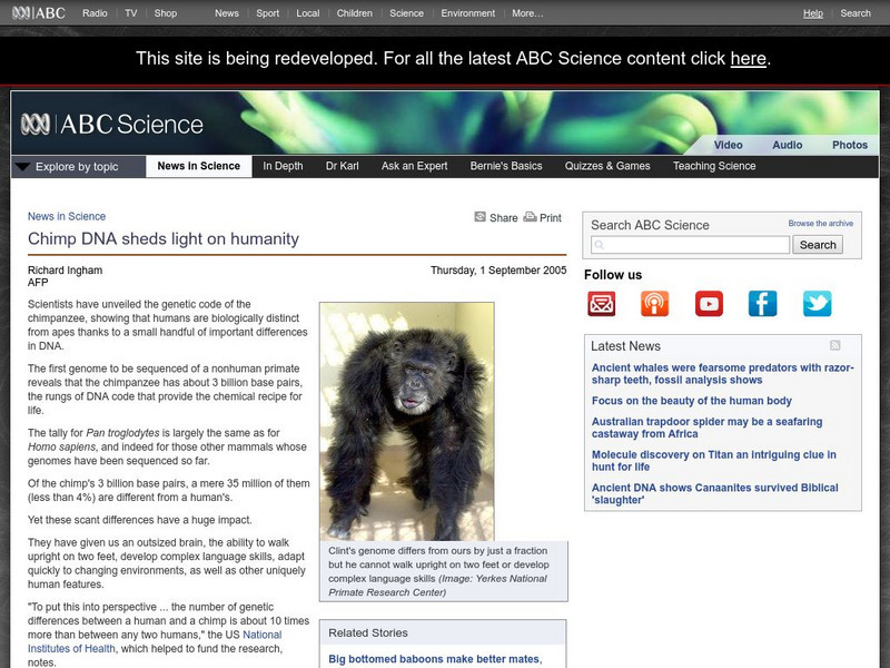 Australian Broadcasting Corporation: News in Science: Chimp Dna Sheds Light on Humanity Article
