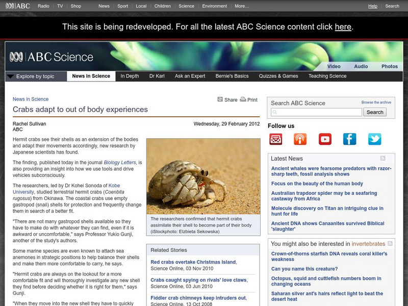 Australian Broadcasting Corporation: News in Science: Crabs Change Color Handout
