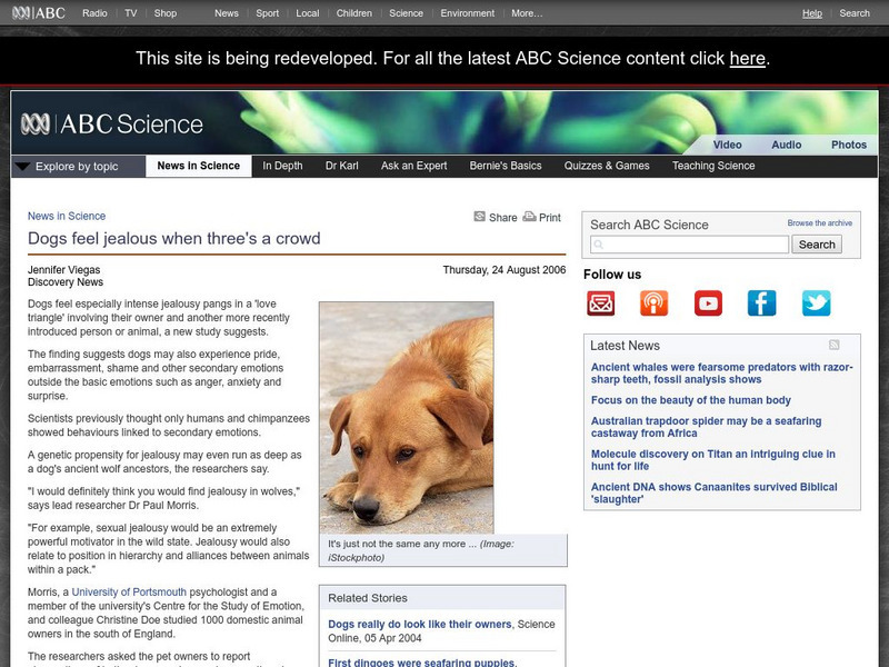 Australian Broadcasting Corporation: News in Science: Dogs Feel Jealous When Three's a Crowd Article