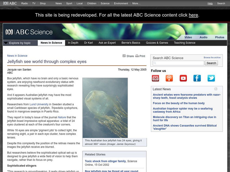 Australian Broadcasting Corporation: News in Science: Jellyfish See World Through Complex Eyes Handout Australian Broadcasting Corporation: News in Science: Jellyfish See World Through Complex Eyes Handout