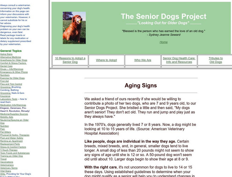 Caring for a Senior Dog Website Caring for a Senior Dog Website