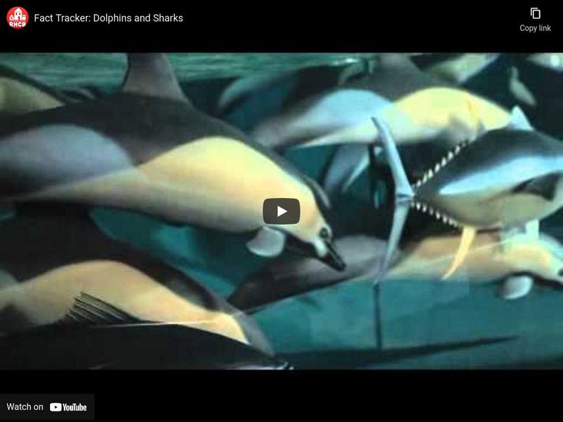 Penguin Random House: Rh Kids: Fact Tracker: Dolphins and Sharks Instructional Video Penguin Random House: Rh Kids: Fact Tracker: Dolphins and Sharks Instructional Video