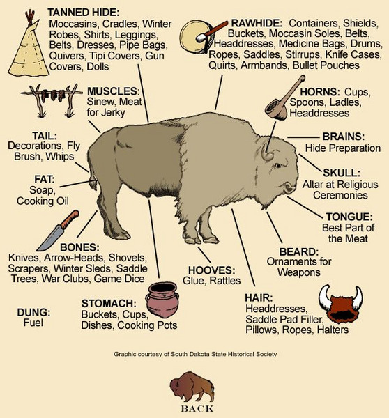 Distance Teaching and Learning: Uses Made of the Buffalo Graphic Distance Teaching and Learning: Uses Made of the Buffalo Graphic