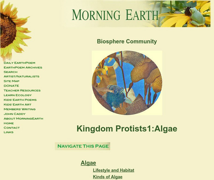 Biosphere Community: Kingdom Protists: Algae Handout Biosphere Community: Kingdom Protists: Algae Handout