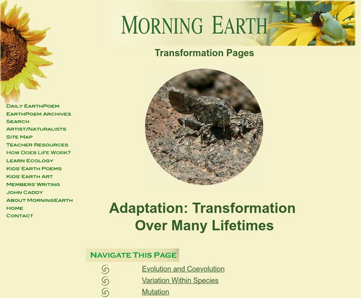 All Lives Interlive: Over Many Lifetimes: Adaptation Website All Lives Interlive: Over Many Lifetimes: Adaptation Website