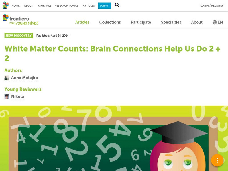 Frontiers:white Matter Counts: Brain Connections Help Us Do 2+2 Article Frontiers:white Matter Counts: Brain Connections Help Us Do 2+2 Article