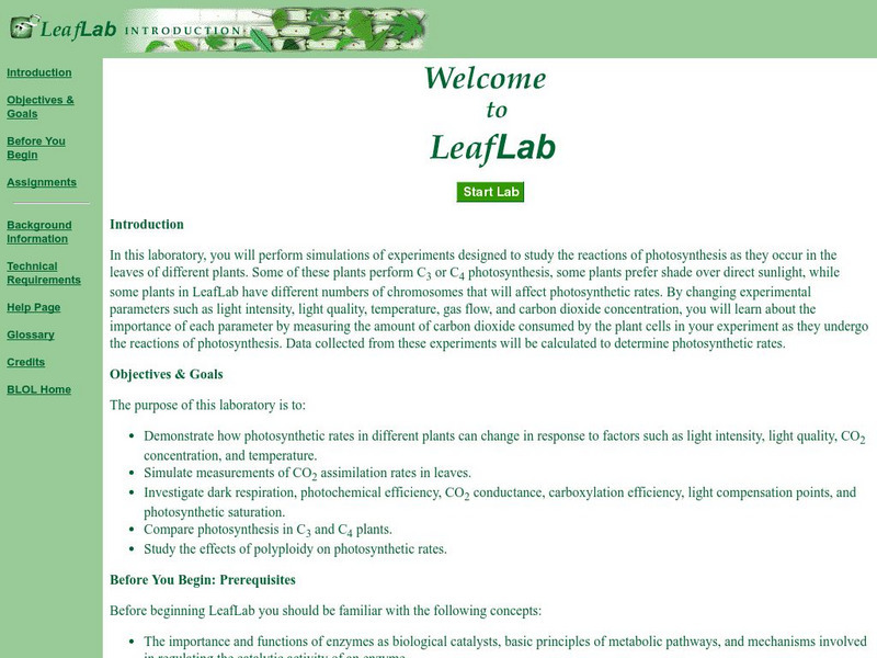 California State University: Biology Labs Online: Leaf Lab Unit Plan California State University: Biology Labs Online: Leaf Lab Unit Plan