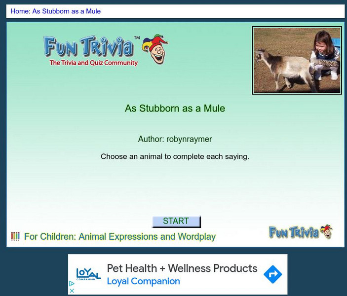 Fun Trivia: As Stubborn as a Mule Interactive Fun Trivia: As Stubborn as a Mule Interactive