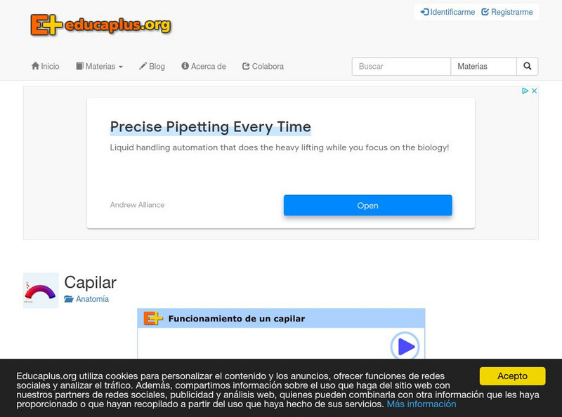 Educaplus: Funcionamiento De Un Capilar [In Spanish] PPT