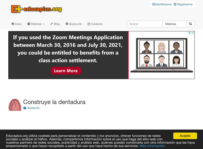 Educaplus: Construye La Dentadura [In Spanish] Activity