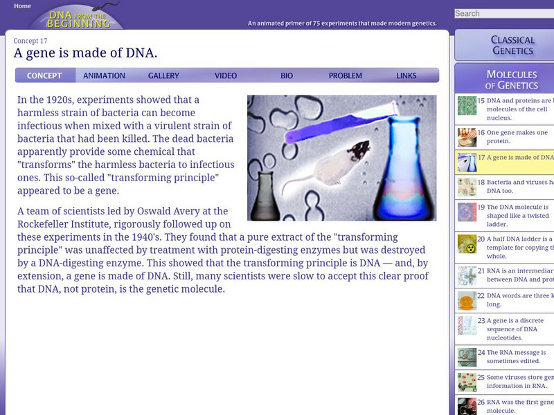Dna From the Beginning: Molecules of Genetics Unit Plan Dna From the Beginning: Molecules of Genetics Unit Plan