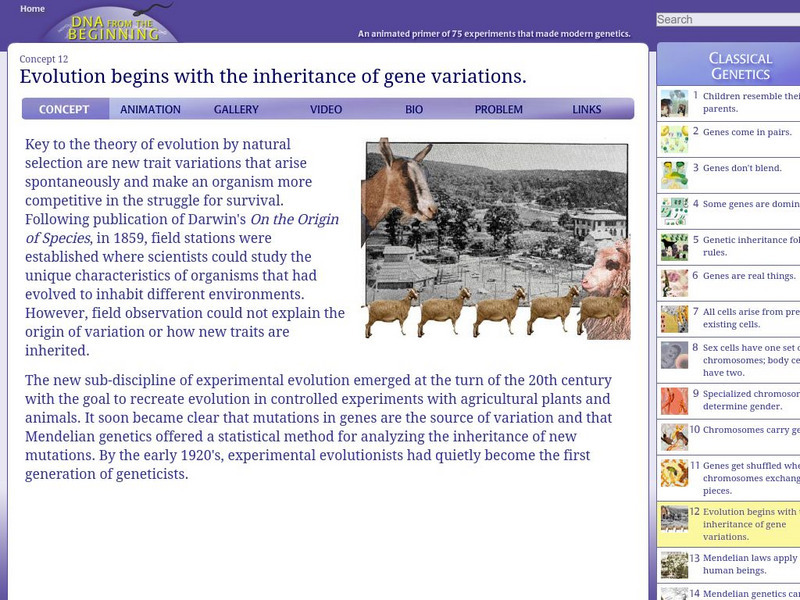 Dna From the Beginning: Inheritance of Gene Variations Unit Plan Dna From the Beginning: Inheritance of Gene Variations Unit Plan