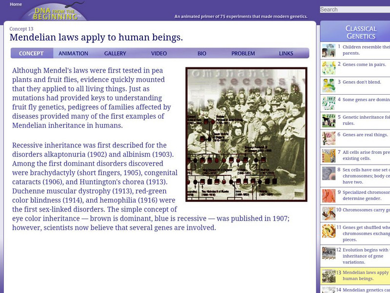 Dna From the Beginning: Sex Linked Hemophilia in the Royal Romanov Family Unit Plan Dna From the Beginning: Sex Linked Hemophilia in the Royal Romanov Family Unit Plan