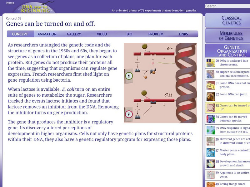 Dna From the Beginning: Genes Can Be Turned on and Off Unit Plan