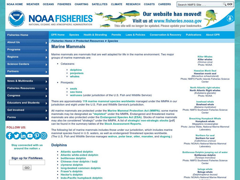 Noaa: Pinnipeds: Seals, Sea Lions, and Walruses Handout Noaa: Pinnipeds: Seals, Sea Lions, and Walruses Handout