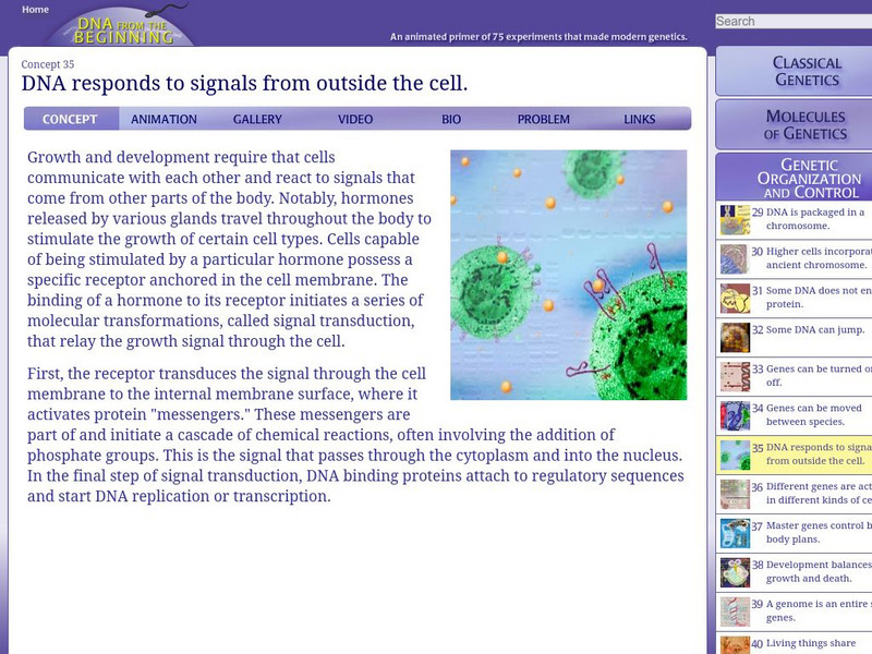 Dna From the Beginning: Dna Responds to Signals Unit Plan