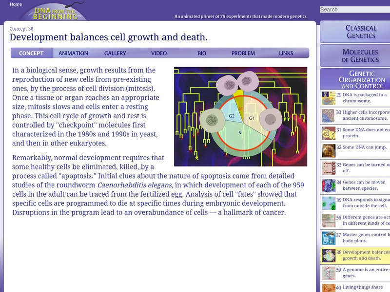 Dna From the Beginning: Development Balances Cell Growth Unit Plan Dna From the Beginning: Development Balances Cell Growth Unit Plan