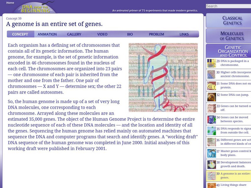 Dna From the Beginning: A Genome Is an Entire Set of Genes Unit Plan