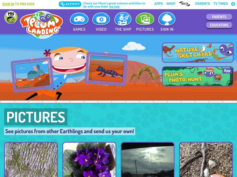 Pbs Kids: Plum Landing: Pictures Activity Pbs Kids: Plum Landing: Pictures Activity